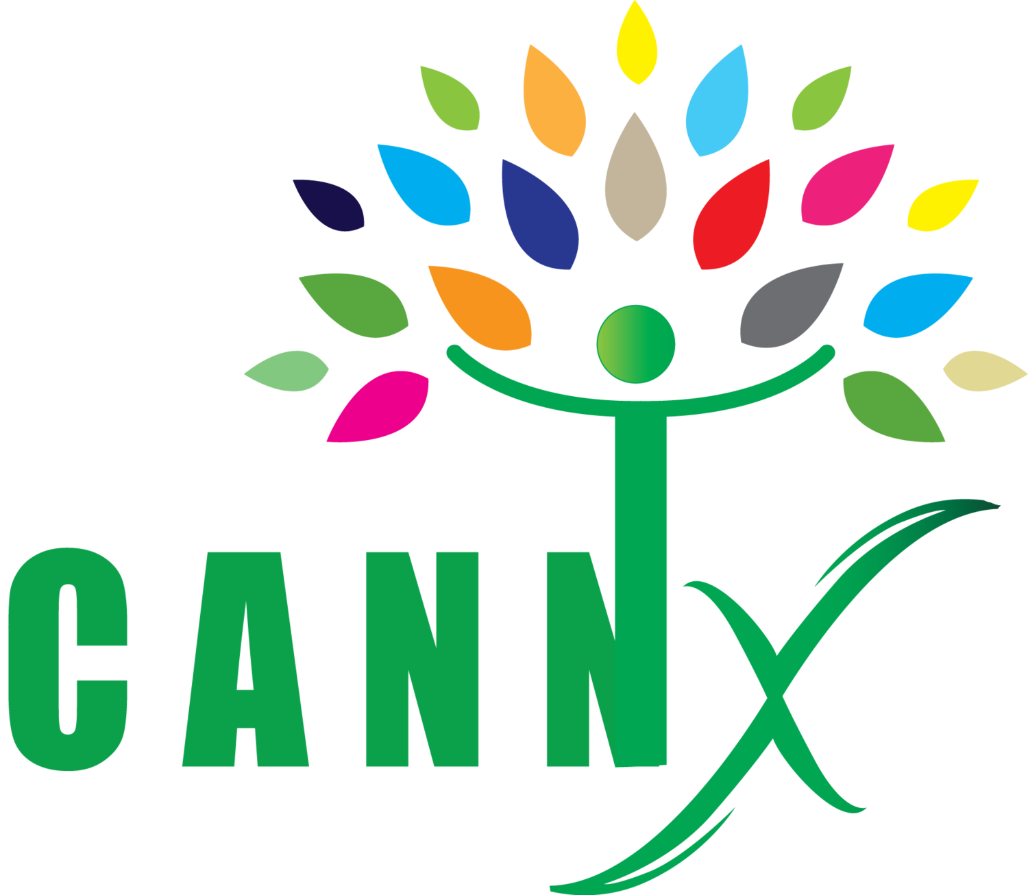 logo for DC Cannabis Cards